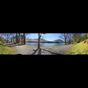 Meet your Posher, Tracey