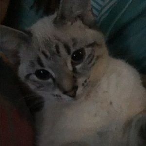 Meet your Posher, Haley