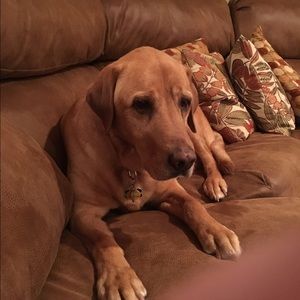 Meet your Posher, Eric