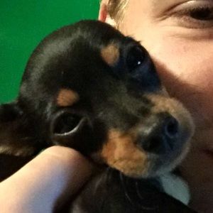 Meet your Posher, Misti