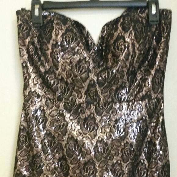 Beautiful chic shimmer lace dress