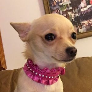 Meet your Posher, Lynette