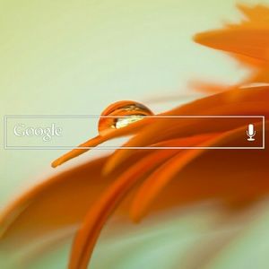 Meet your Posher, Michele