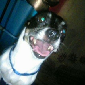 Meet your Posher, Geraldinne