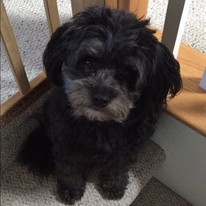 Meet your Posher, Debra