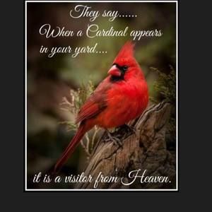 Meet your Posher, Sandy