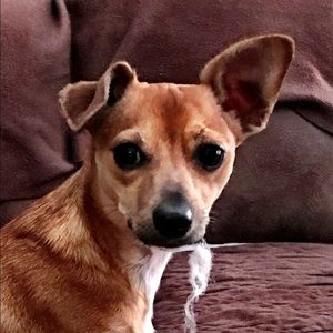 Meet your Posher, Tammy