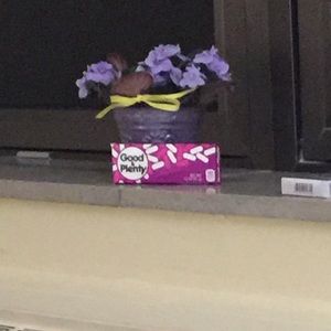 Meet your Posher, Jen