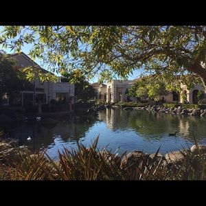 Meet your Posher, Ferne