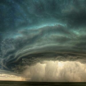 Meet your Posher, Toni