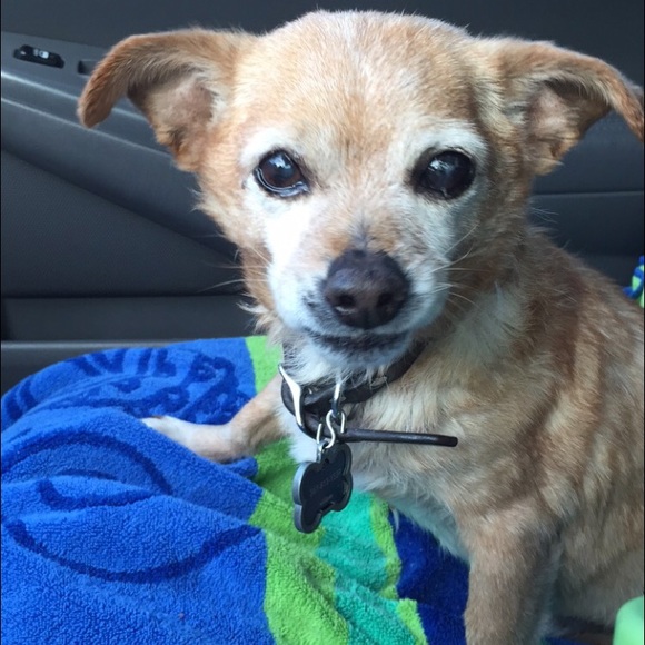 Meet your Posher, Kathryn - Picture 3 of 4