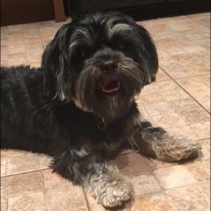 Meet your Posher, Gayle