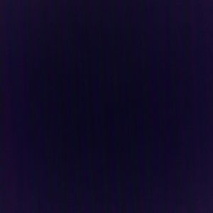 Meet your Posher, Rose