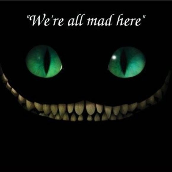 Meet your Posher, Maxx - Picture 1 of 1