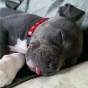 Meet your Posher, Kera