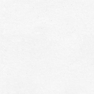 Meet your Posher, Bella