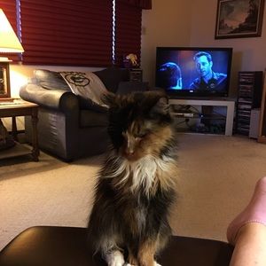 Meet your Posher, Jo