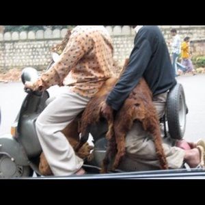 Meet your Posher, Lisa