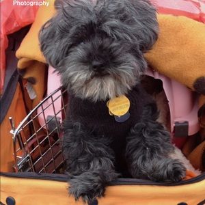 Meet your Posher, Vonda