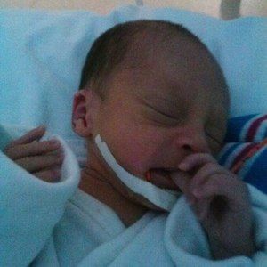 Meet your Posher, Lacey