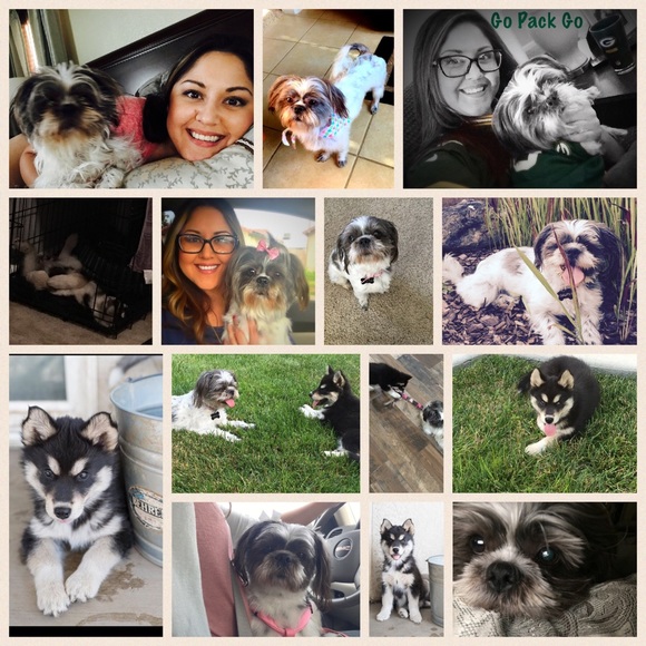 Meet the Posher - Picture 3 of 3