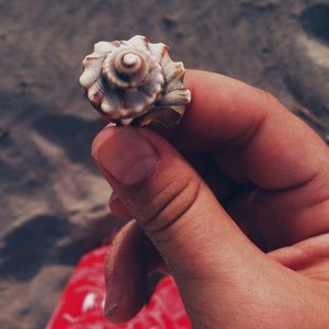 Meet your Posher, Viv