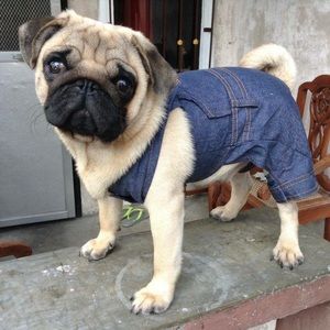 Meet your Posher, Desiree