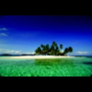 Meet your Posher, Sydney