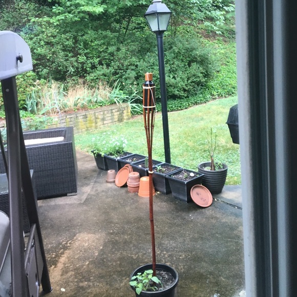 Meet your Posher, Prachi