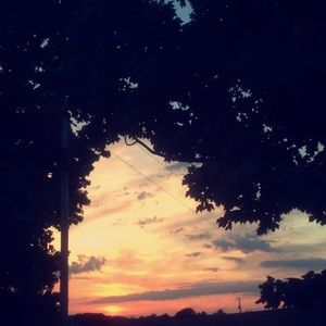 Meet your Posher, Brianne