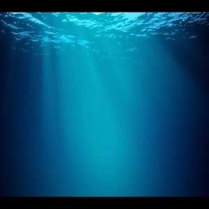 Meet your Posher, Alexia