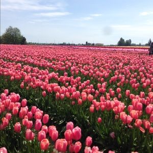 Meet your Posher, Maxsena