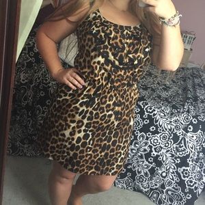BOG2 • Express 🐆 Cheetah Cocktail Dress
