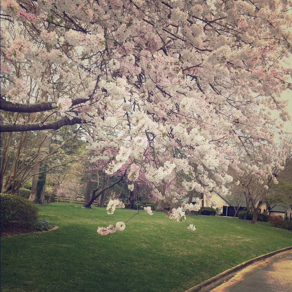 Meet your Posher, Kathryn