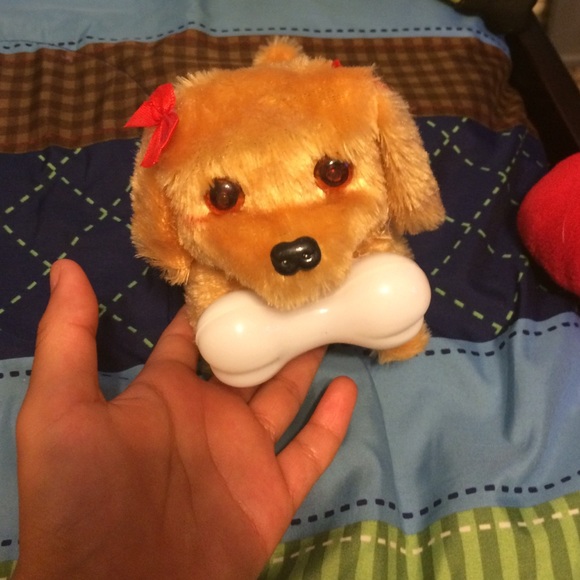A CUTE DOG 😱😌