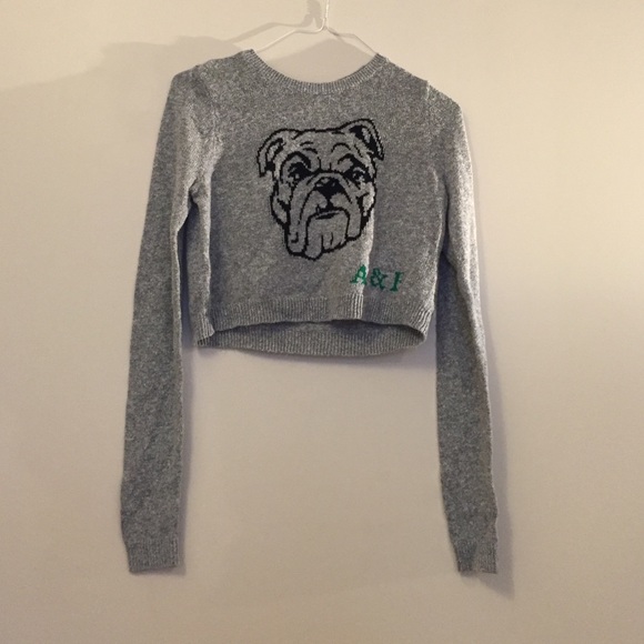 A&F Cropped Sweater