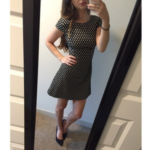 Zara polka dot dress SZ S NWT
