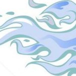 Meet your Posher, Forest