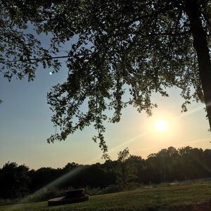 Meet your Posher, Savanna