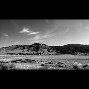 Meet your Posher, Mercy