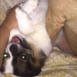 Make an offer on anything! I'm down to bundle too!