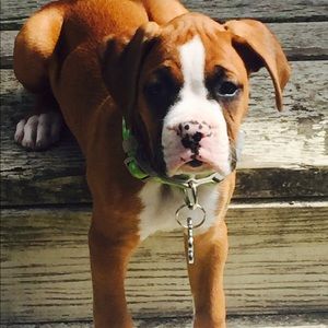 Meet your Posher, Teri