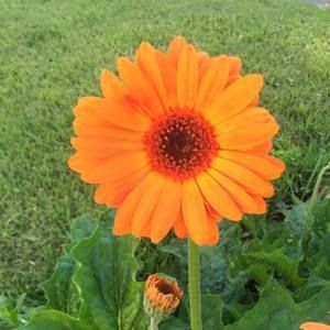 Meet your Posher, Jodi