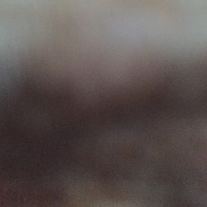 Meet your Posher, Han