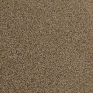 Meet your Posher, Sami