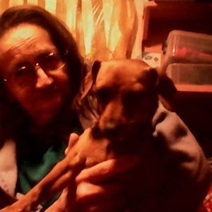 Meet your Posher, Sharon