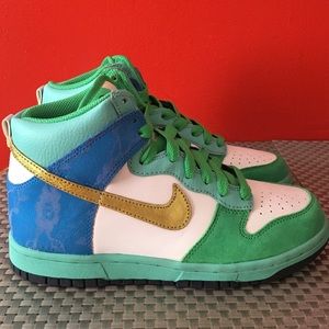 Nike Dunks 6.0