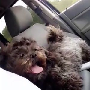 Meet your Posher, Jasmine