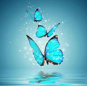 Meet your Posher, Perla