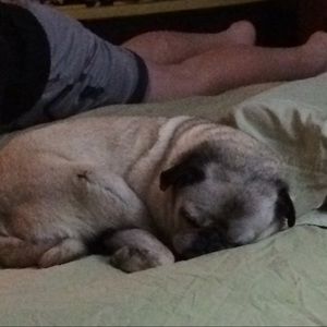 Meet your Posher, Joy